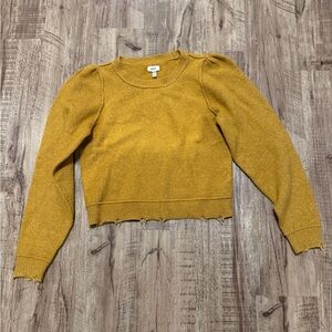 Aerie Golden Crew Neck Sweater